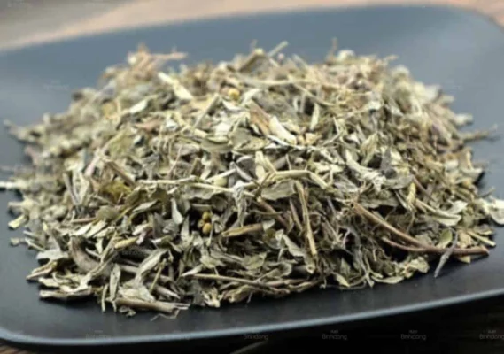 Trà diệp hạ châu