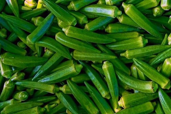 01 số tác dụng của quả đậu bắp trong điều trị bệnh