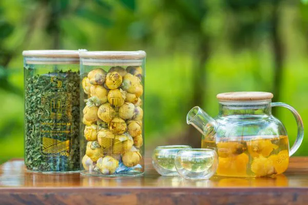 Lá trà hoa vàng có uống được không?