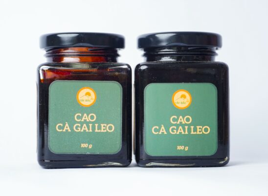 cao cà gai leo