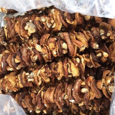 Nấm hương rừng