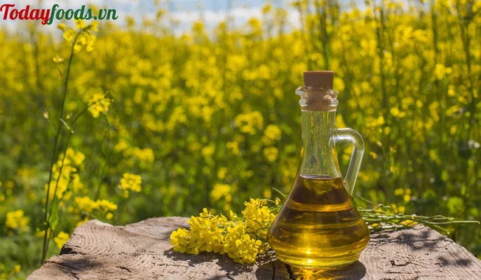 Công dụng của dầu hạt cải