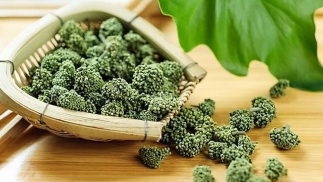 U tuyến giáp có uống được tam thất không?