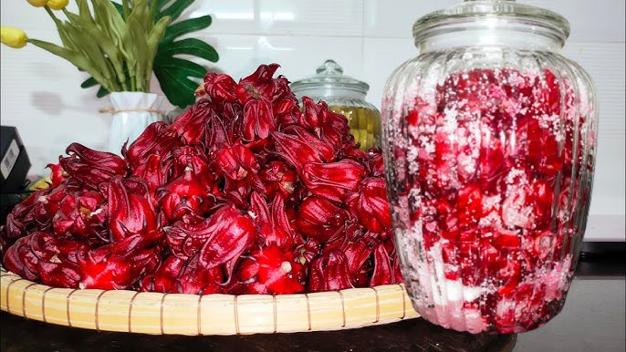 Tác dụng tuyệt vời của hoa Atiso đến sức khỏe