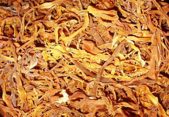 Măng rối là gì? Tác dụng của măng rối với sức khỏe