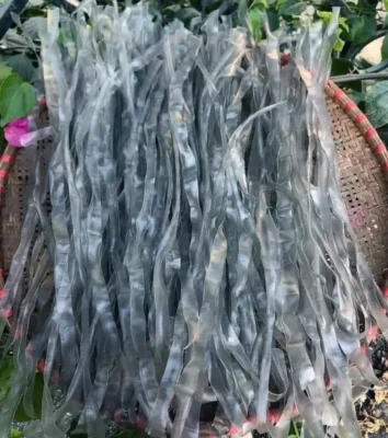 Miến dong sợi to