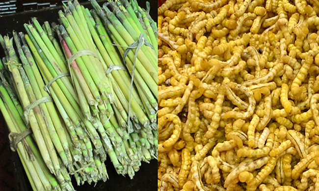 Rượu sâu chít tác dụng đến sức khỏe như thế nào?