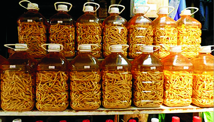 Rượu sâu chít Tây Bắc