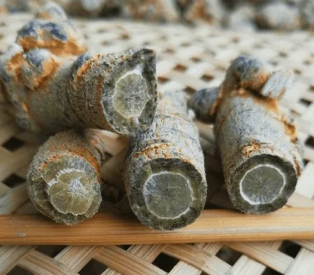 Đàn ông uống tam thất có ảnh hưởng gì không?