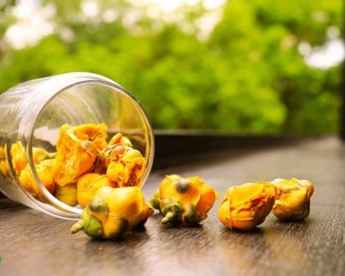 Tác dụng chữa bệnh của trà hoa vàng