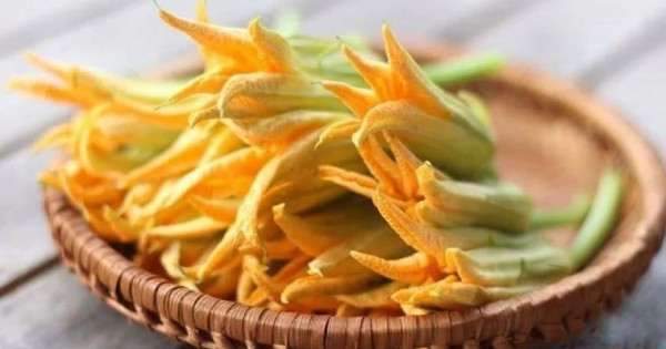 Hoa Bí Ngô: Thực Phẩm Vàng cho Sức Khỏe