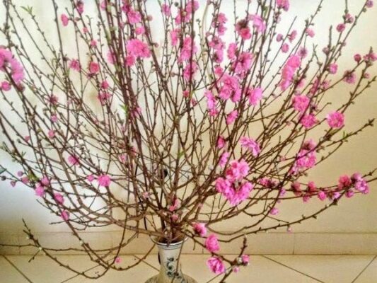 Cách cắm hoa tết siêu đẹp - Tạo sắc màu tươi mới cho ngày đầu năm