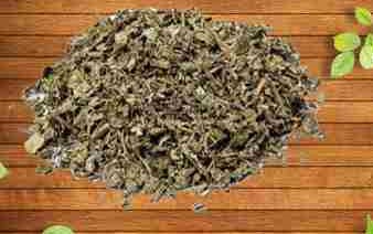 Chè dây chữa trào ngược dạ dày