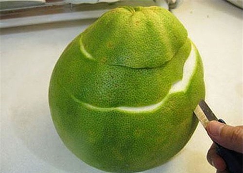 Công dụng của vỏ bưởi bạn nên biết