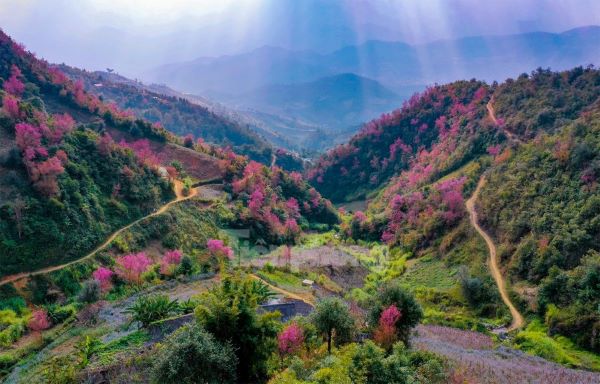 Địa điểm du lịch đng hot ở Tây Bắc