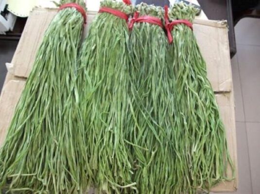 Rau tiến vua là gì?