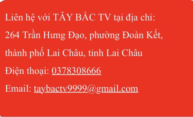 Cây thiết mộc lan