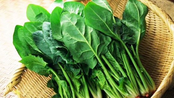 Tác dụng của nước ép rau bina