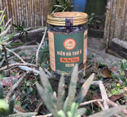 Tác dụng của viên hà thủ ô mật ong vừng Tây Bắc