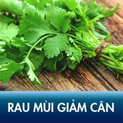 Thải độ và cải thiện chức năng gan từ rau mùi