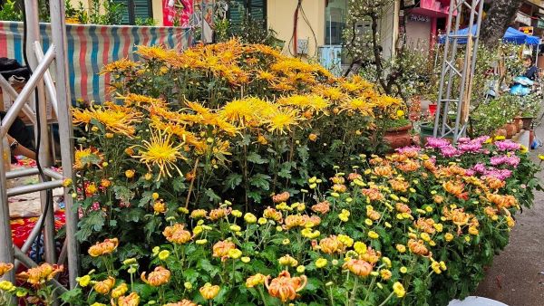 Tổng hợp các chợ hoa ở Hà Nội hút khách nhất