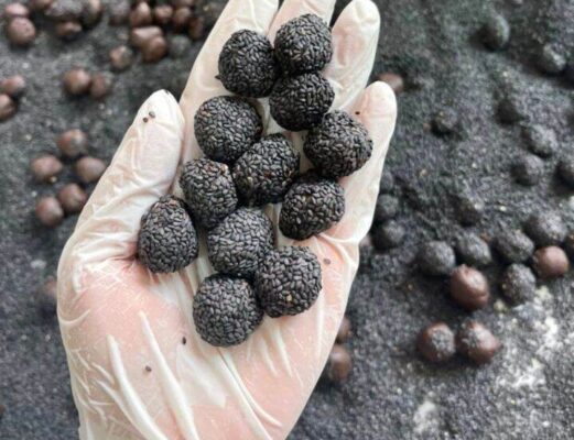 Viên hà thủ ô mật ong vừng Tây Bắc có tốt không?