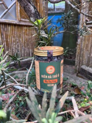 Viên hà thủ ô mật ong vừng có tác dụng gì?