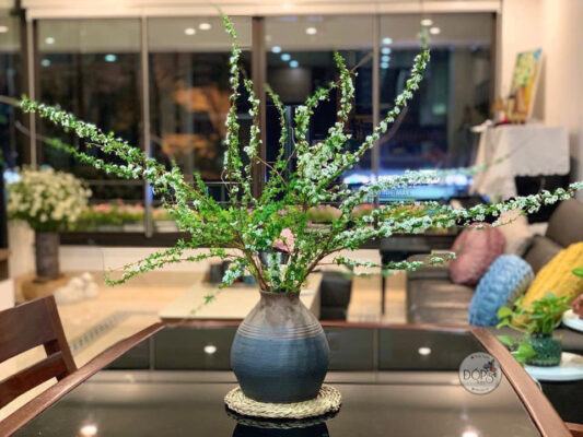 Hoa tuyết mai là hoa gi? Ý nghĩa hoa tuyết mai