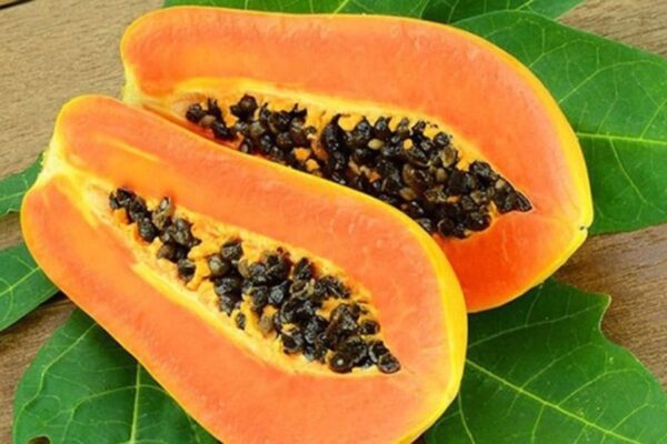 Tác dụng của đu đủ với sức khỏe