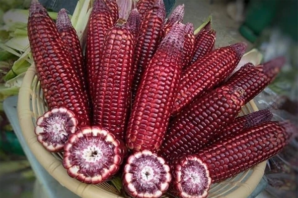 ngô tím ngâm rượu