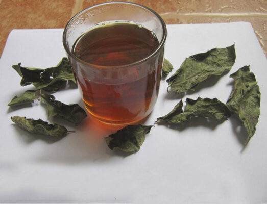 Uống Nước Xạ Đen Hàng Ngày Có Tốt Không? Những Điều Cần Biết