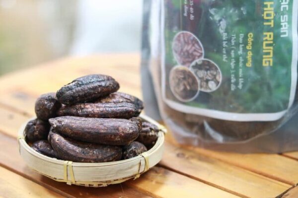 Chuối hột rừng Tây Bắc