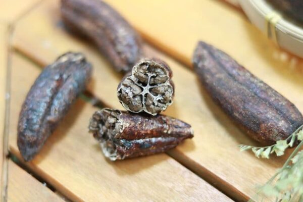 Lợi ích sức khỏe của chuối hột rừng Tây Bắc