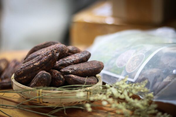 Chuối hột rừng Tây Bắc là gì?