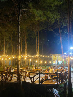 Đồi thông Than Uyên