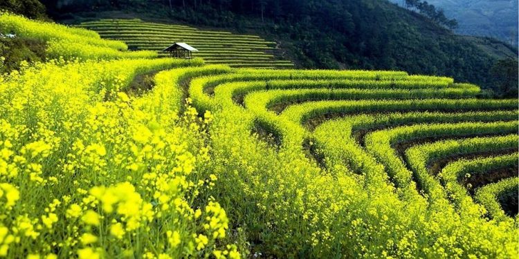 Văn hóa Tây Bắc - mạch nguồn chảy mãi