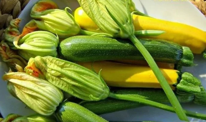 Ăn hoa bí có tốt không?