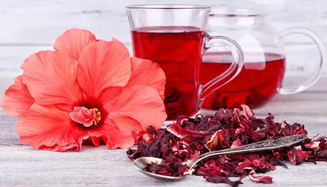 Lợi ích bất ngờ của trà hoa dâm bụt đối với sức khỏe