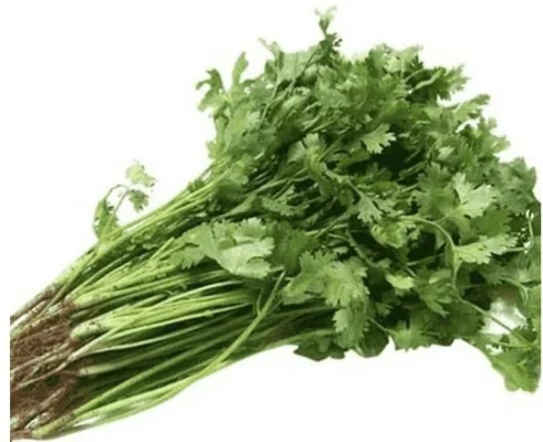 Cây rau mùi có lợi lợi ích gì cho sức khỏe?