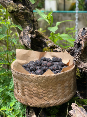 Khám Phá Lợi Ích Của Viên Hà Thủ Ô Mật Ong Tây Bắc