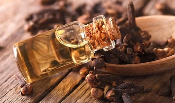 Tinh dầu đinh hương