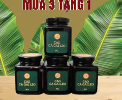 Cao cà gai leo là gì?