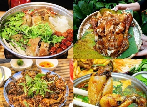 Cách giải ế thịt gà ngày Tết