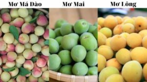 Quả mơ có tác dụng gì?