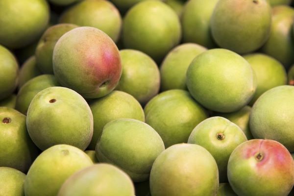 Tác dụng của quả mơ