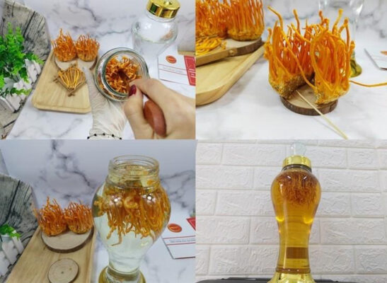 Công dụng của rượu đông trùng hạ thảo