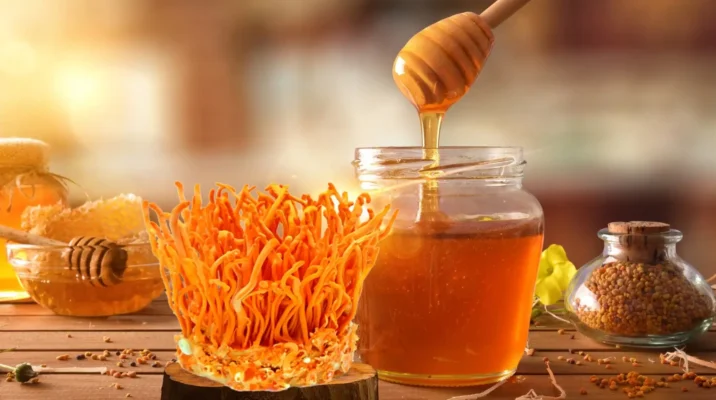 Công dụng của đông trùng hạ thảo ngâm mật ong