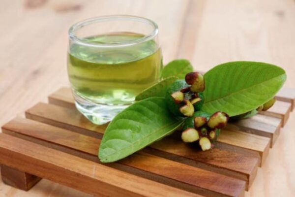 9 Lý do phụ nữ nên uống trà lá ổi mỗi ngày