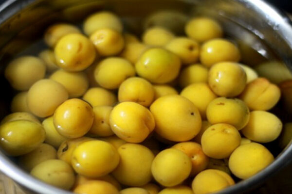 Lợi ích sức khỏe của quả mơ bạn nên biết