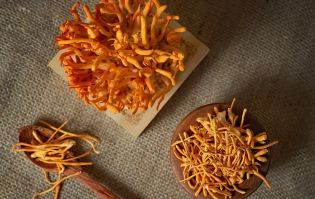 Người huyết áp cao có dùng được đông trùng hạ thảo?